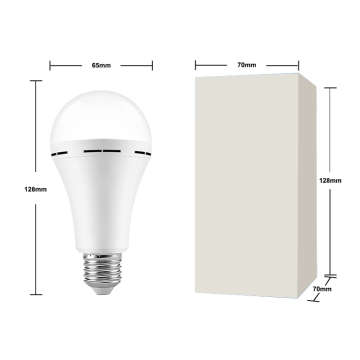 Plastic LED Lighting Bulb